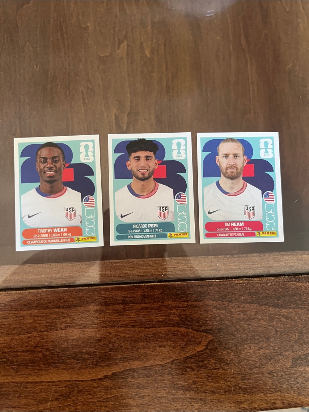 Panini USA sticker card